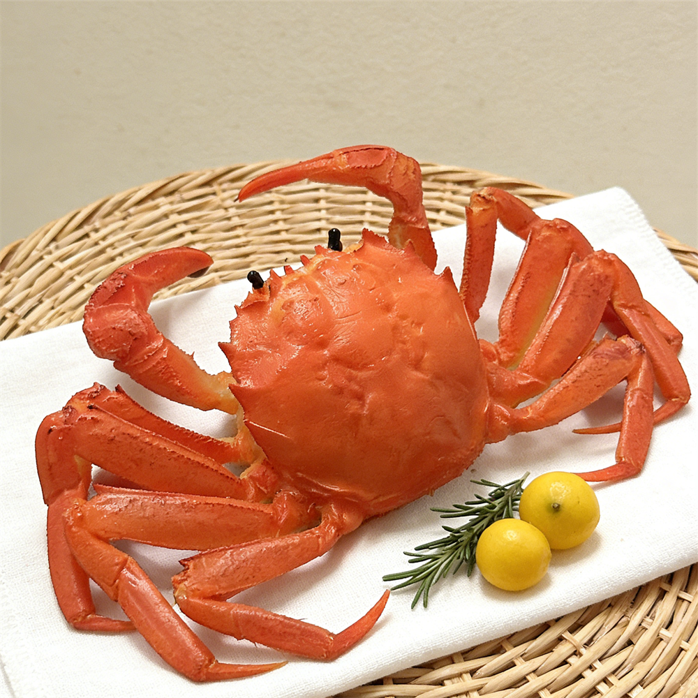 15cm Plastic Red Cooked Blue C - Home Cooking Shows incelemesi ve fiyatı