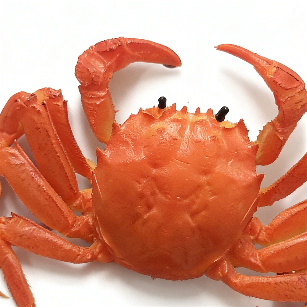 15cm Plastic Red Cooked Blue C - Home Cooking Shows incelemesi ve fiyatı