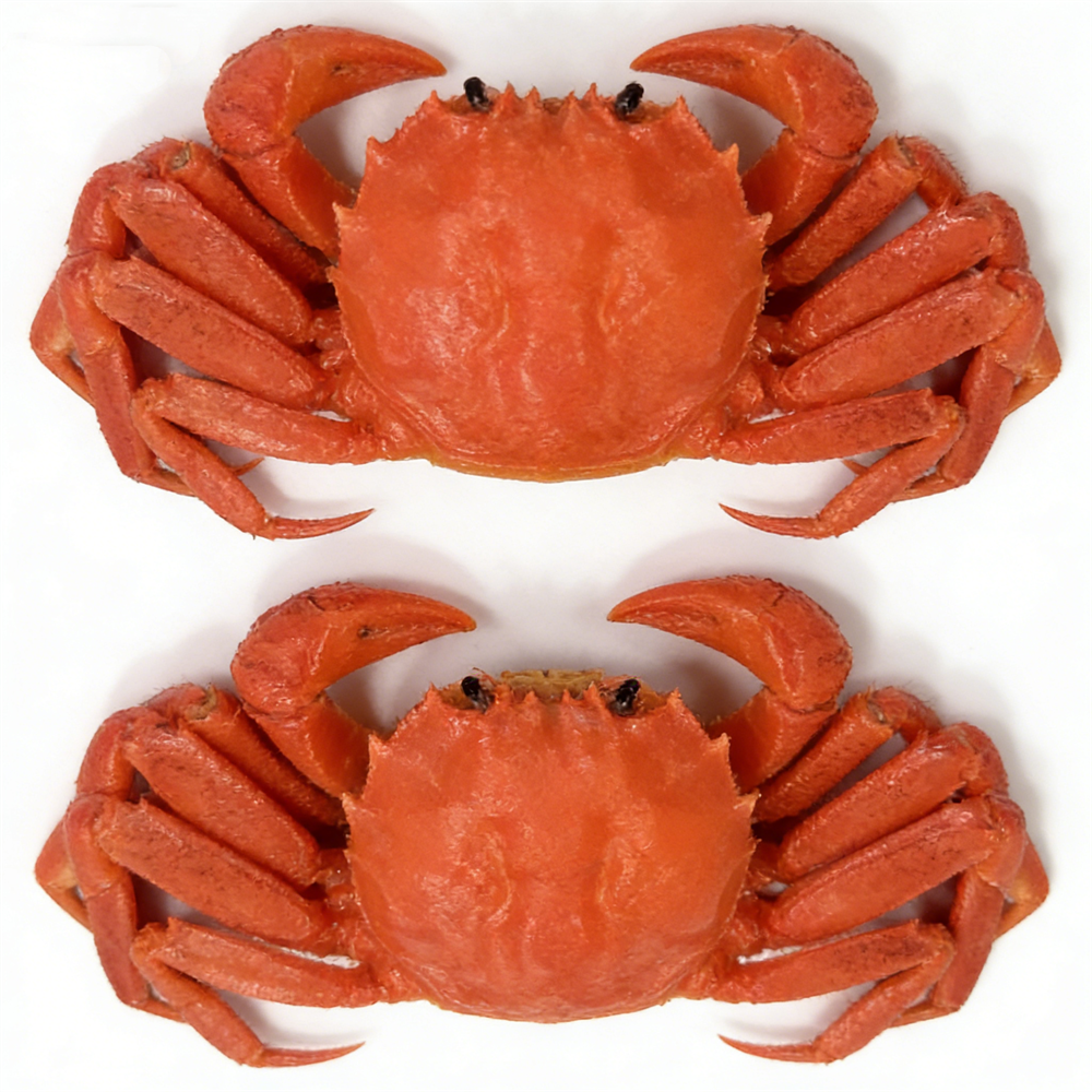 15cm Plastic Red Cooked Blue C - Home Cooking Shows incelemesi ve fiyatı