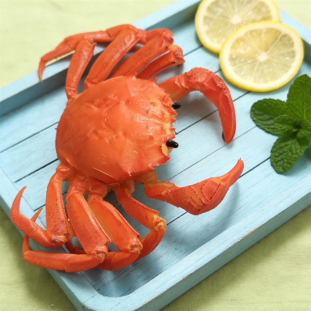 15cm Plastic Red Cooked Blue C - Home Cooking Shows incelemesi ve fiyatı